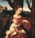 BURGKMAIR Hans Madonna With Grape