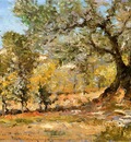 Chase William Merritt Olive Trees Florence