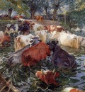 Claus Emile Cows crossing the Leie Sun
