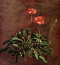 Constable John Study for poppies Sun