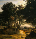 Corot Forest of Fontainebleau, c  1830, Detalj 1, NG Washing