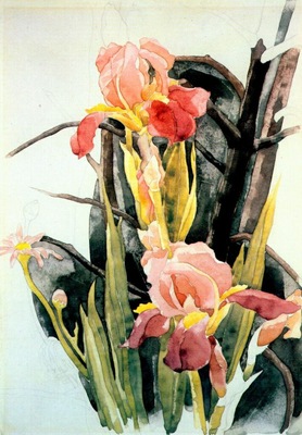demuth flowers irises c1925