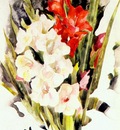 demuth gladiolus c1923