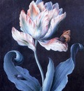 Barbara Dietzsch Parrot Tulip, Butterfly and Scarab, De