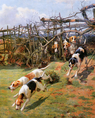 Dodd Arthur Charles Through the fence Sun