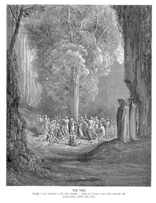 Dante 114 The Tree sqs