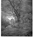 Dante 103 The She Wolf sqs