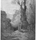 Dante 127 Venus sqs