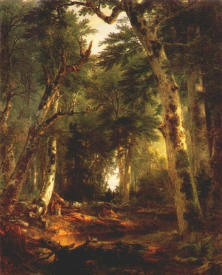 durand in the woods