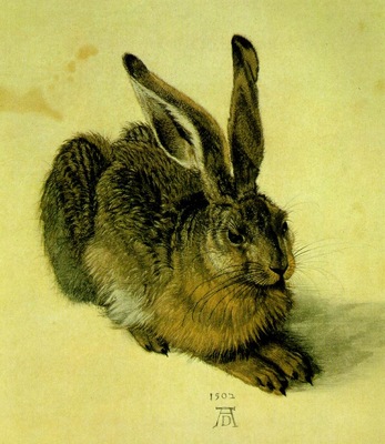 DURER A YOUNG HARE,1502, WATER COLOUR,Graphische Sammlung Al