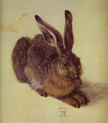 Albrecht Durer A Young Hare