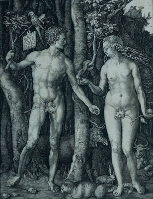 Durer Albrecht The Fall