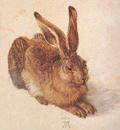 bs Albrecht Durer The Hare
