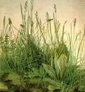 large turf