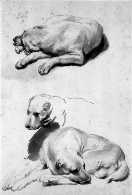 Eeckhout van den Gerbrand Study of a dog Sun