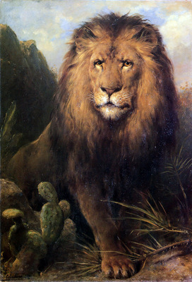 Eerelman Otto Abessynian Lion
