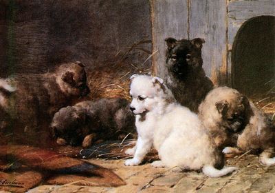 Eerelman Otto Five little pupies Sun