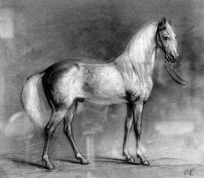 eerelman otto greyhorse