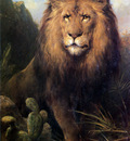 Eerelman Otto Abessynian Lion