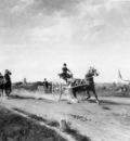 Eerelman Otto Races in Groningen Sun