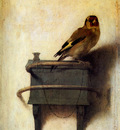 Fabritius Carel The goldfinch Sun