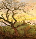 friedrich2