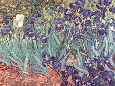 irises, van gogh, 1889 800x600 id