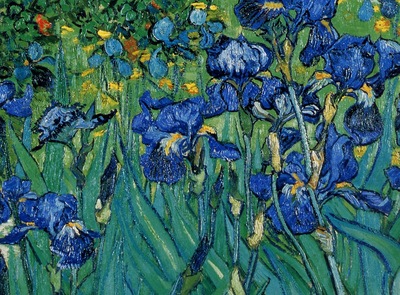 Vincent Van Gogh Iris detail , De