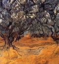 Gogh van Vincent Oliviers Sun