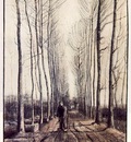 van Gogh Lane with Poplar Trees, early 1884, 54x39 cm, Rijks