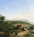 Haas de Leonardus Cattle at the side of the Rijn Sun