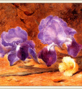 bs flo John Jessop Hardwick Iris And Christmas Rose