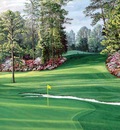 hallowed ground csg030 augusta national 6th hole