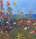 hassam poppies, isles of shoals