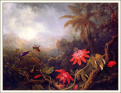 bs ahp Martin Johnson Heade Passion Flowers With Three Hummingbird
