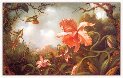 bs flo Martin Johnson Heade Two Hummingbirds And Two Varieties Of Orchids