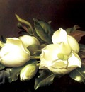 martin johnson heade 1894 fl art csg029