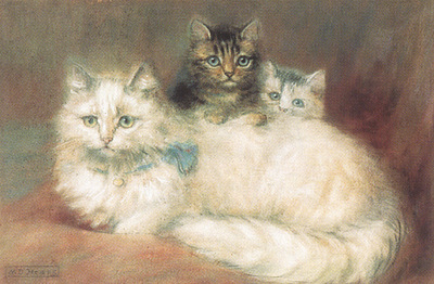 bs cc Persian Cat Her Kittens [Maude D Heaps]