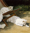 Heyer Arthur Persian cats Sun