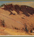 zfox swd wh 11 the sand dune
