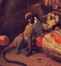 lrsd Hondeoeter Mechior Monkey Fruit