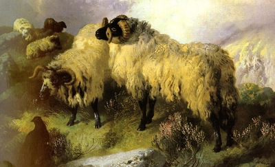 Horlor George W  Highland Scene With Sheep And Grouse