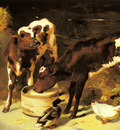 Horlor George W Calves Feeding
