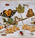 Kessel van Jan Insects and fruits Sun