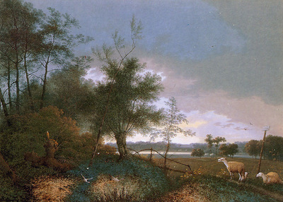 Knip Josephus Landscape in Brabant Sun