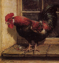 Knip Ronner Henrietta Rooster Sun