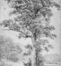 Koekkoek Barend C Oak Sun