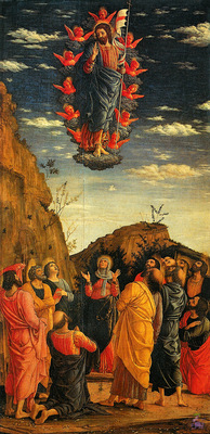 mantegna 031 ascension