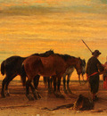 Moerenhout Joseph Jodocus Fishermen With Their Horses On The Beach