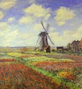 Claude Monet Tulip Fields in Holland
